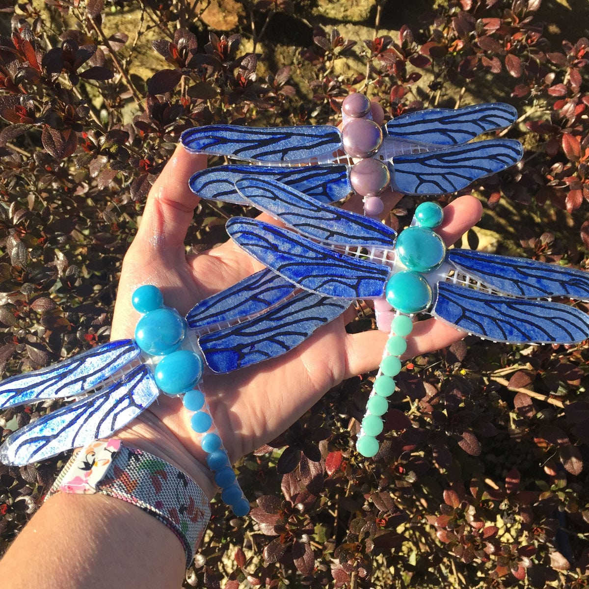 3 mosaic dragonflies in one hand