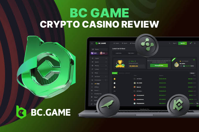 The Ultimate Guide to the Official BC App The Ultimate Guide to the Official BC App